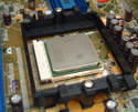 amd64